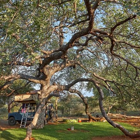 Zuricamp - Campsite Halishi 楚梅布 外观 照片