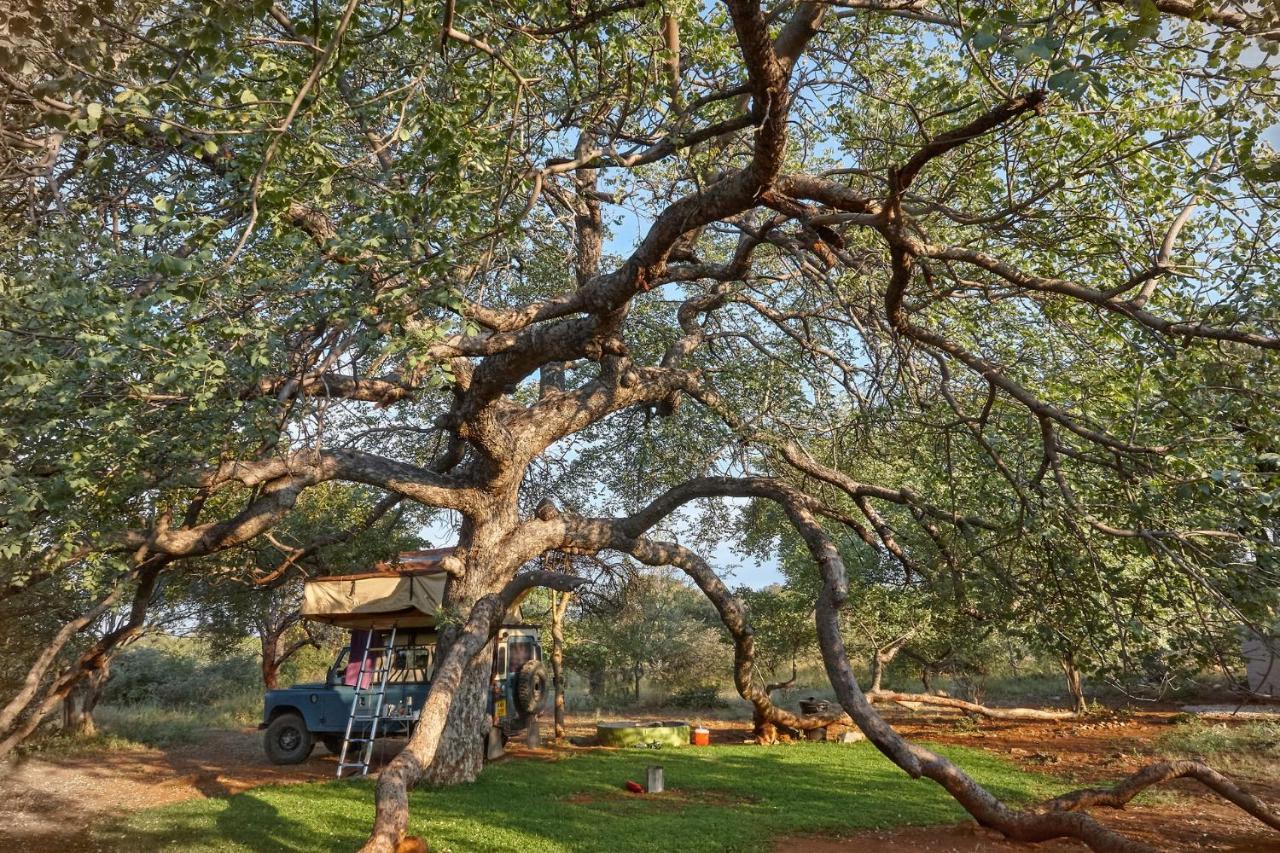 Zuricamp - Campsite Halishi 楚梅布 外观 照片