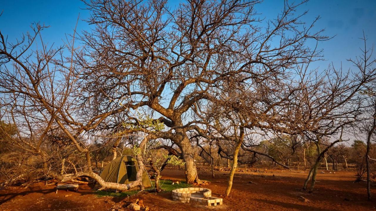 Zuricamp - Campsite Halishi 楚梅布 外观 照片